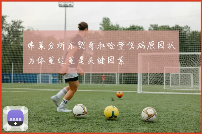 弗莱分析东契奇和哈登伤病原因认为体重过重是关键因素
